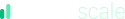 LeaderScale